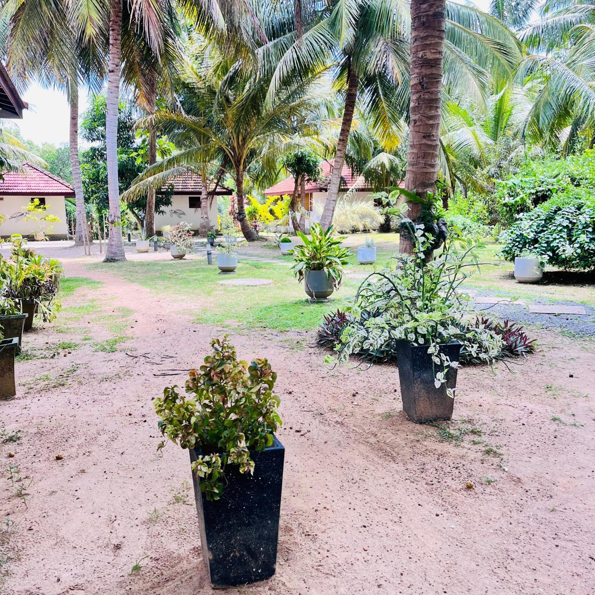 Hanguk Lanka Lagoon Villa Tangalle Buitenkant foto